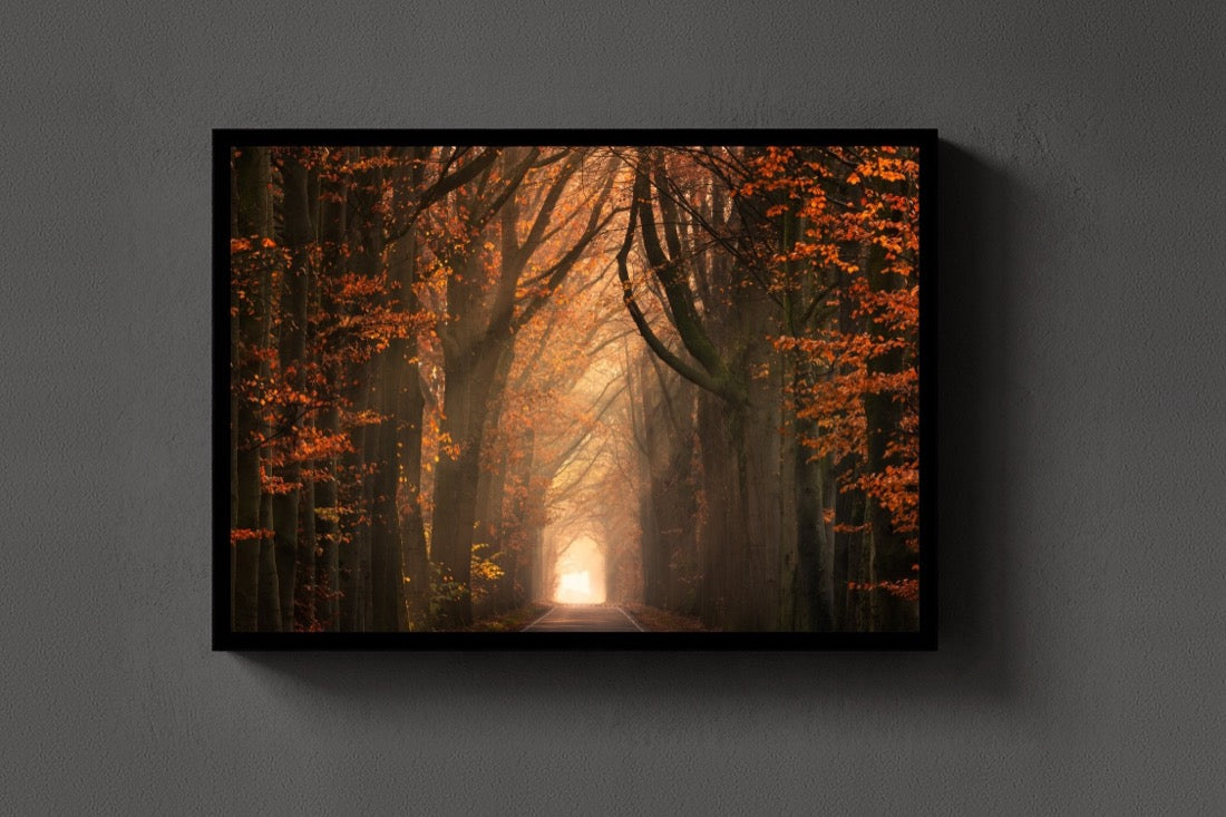 Beautiful Autumn lijst