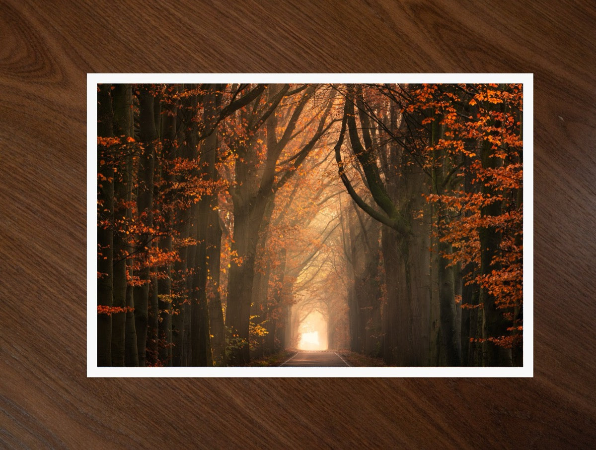 Beautiful Autumn print