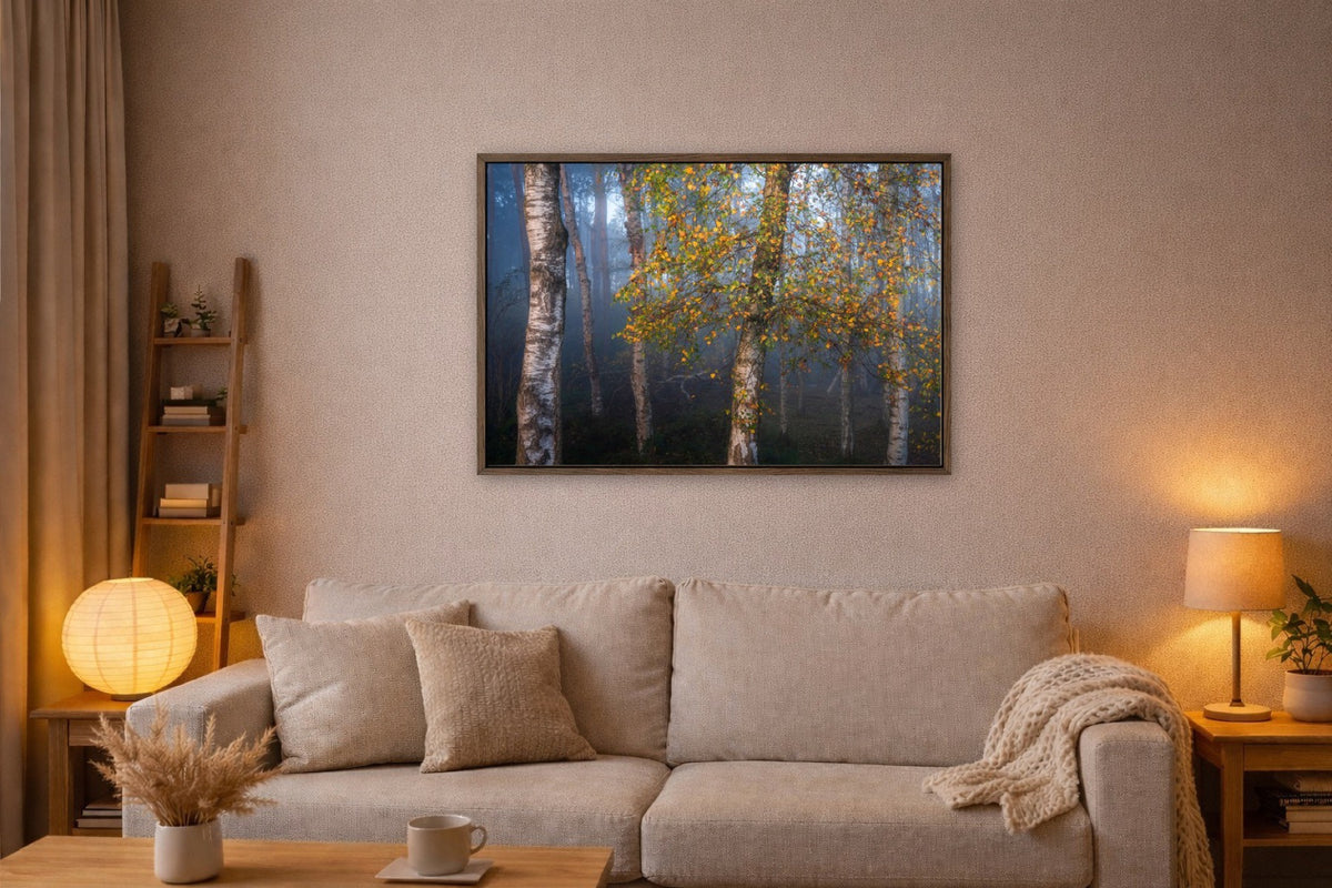 Birch in Autumn lijst kamer