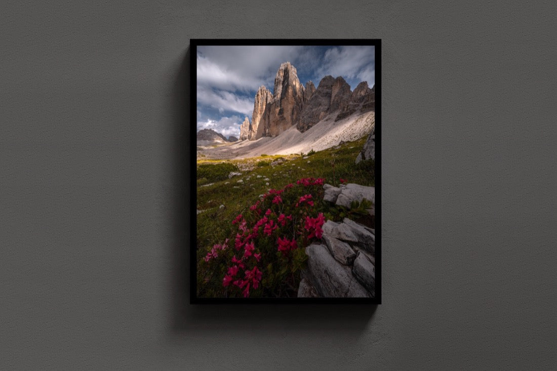 Bloom Beneath the Peaks lijst