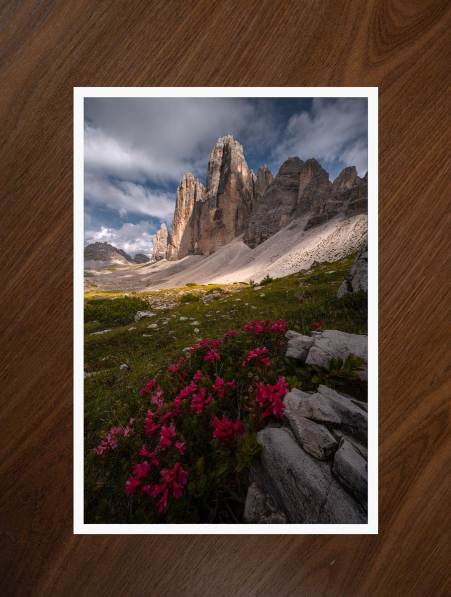 Bloom Beneath the Peaks print