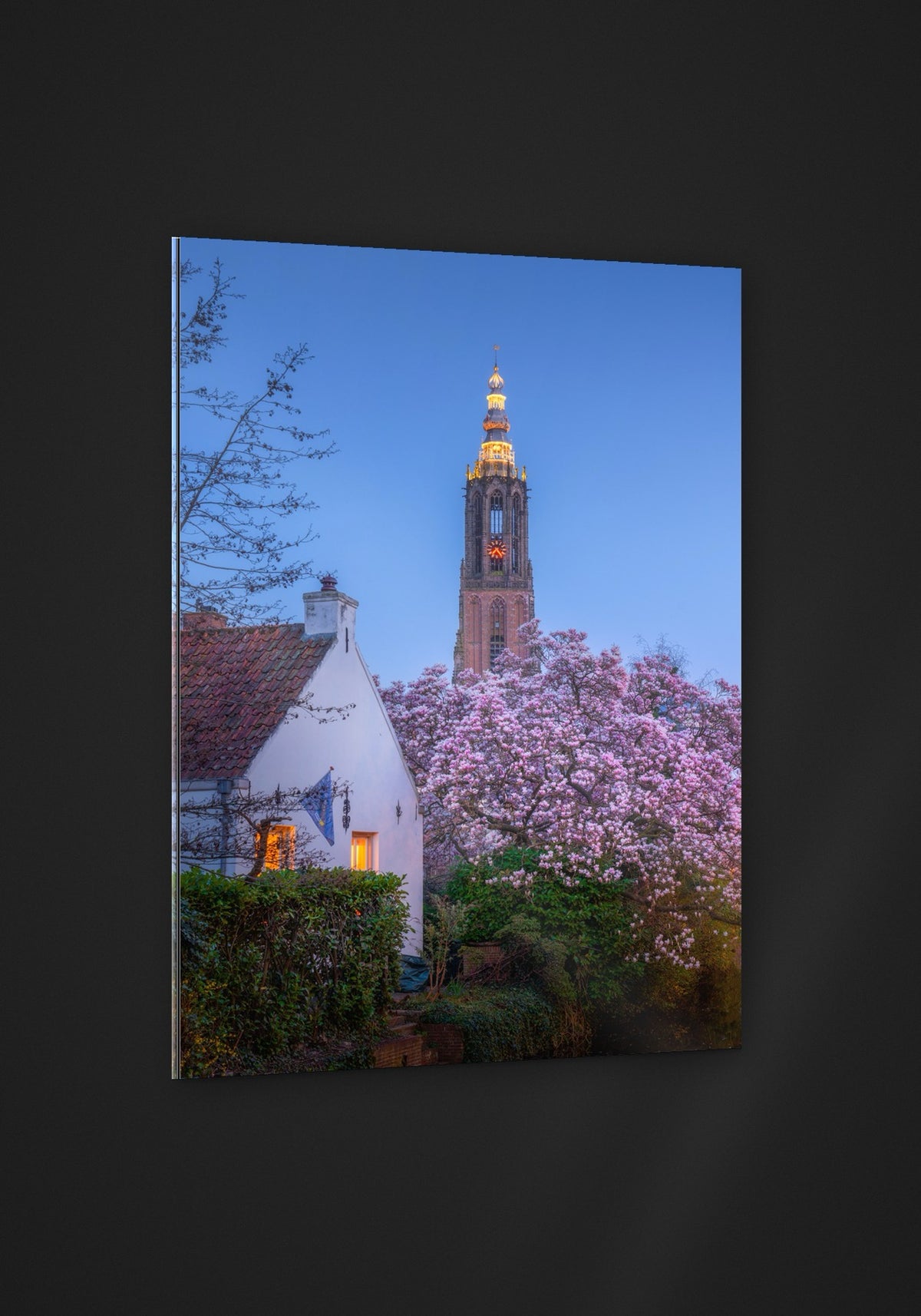 Blossom and Tower acryl