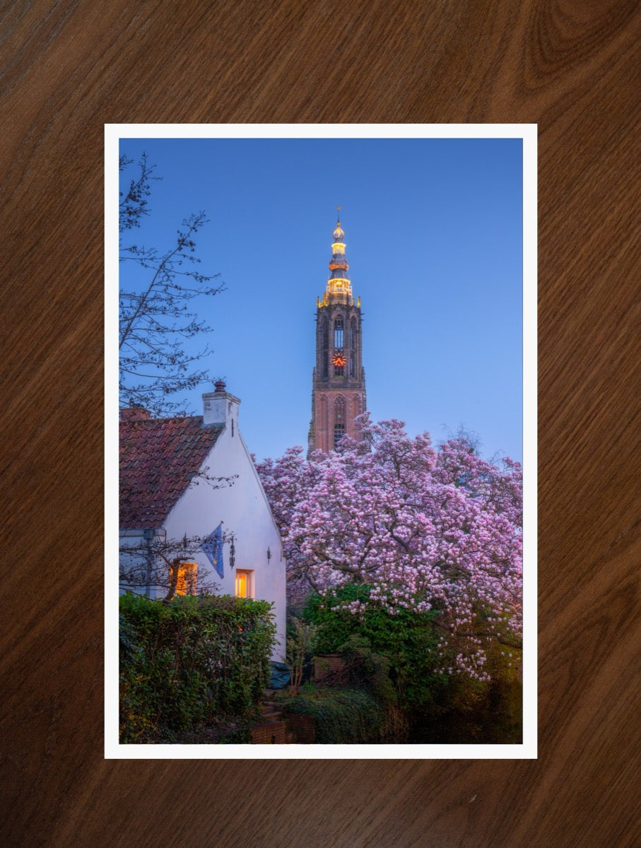 Blossom and Tower print