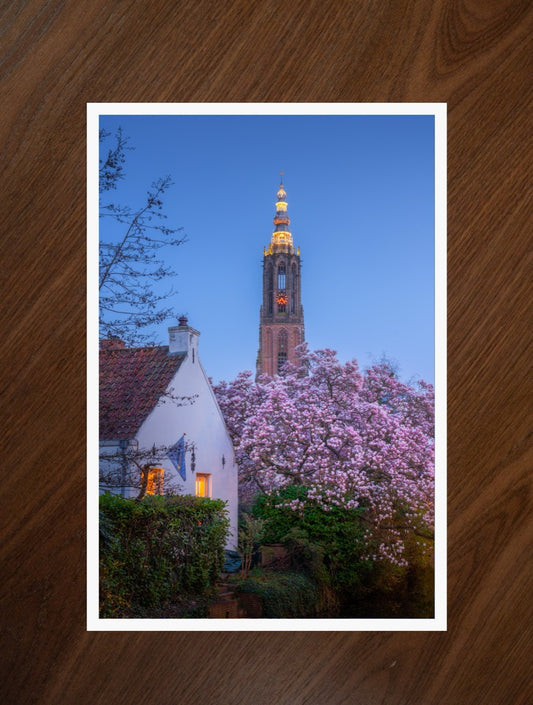 Blossom and Tower print