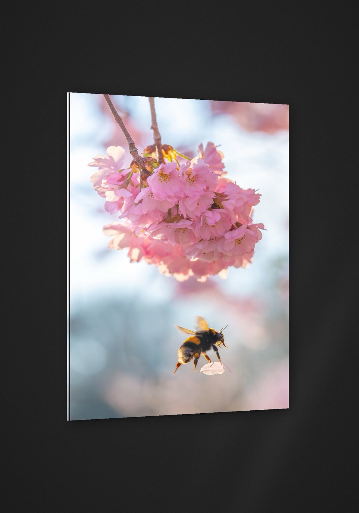 Blossom Bee acryl