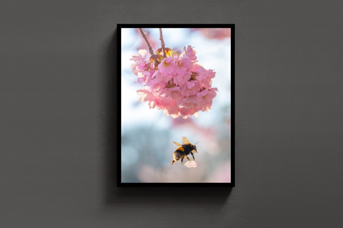 Blossom Bee lijst