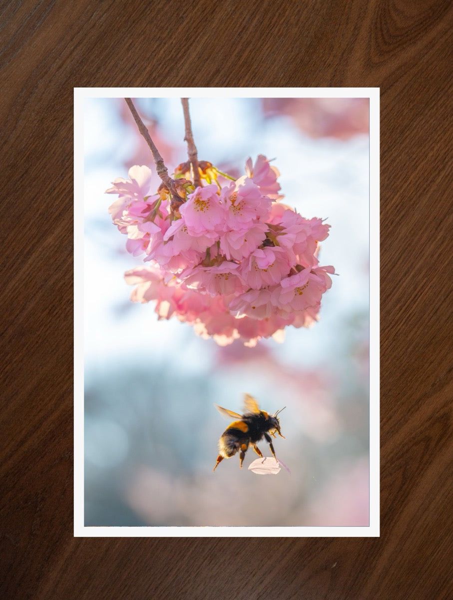 Blossom Bee print