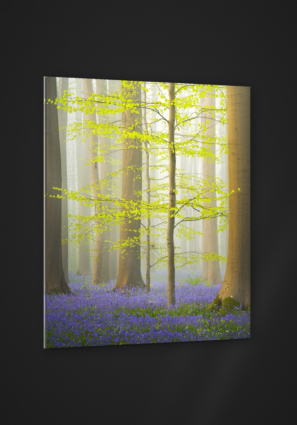 Bluebell Awakening acryl