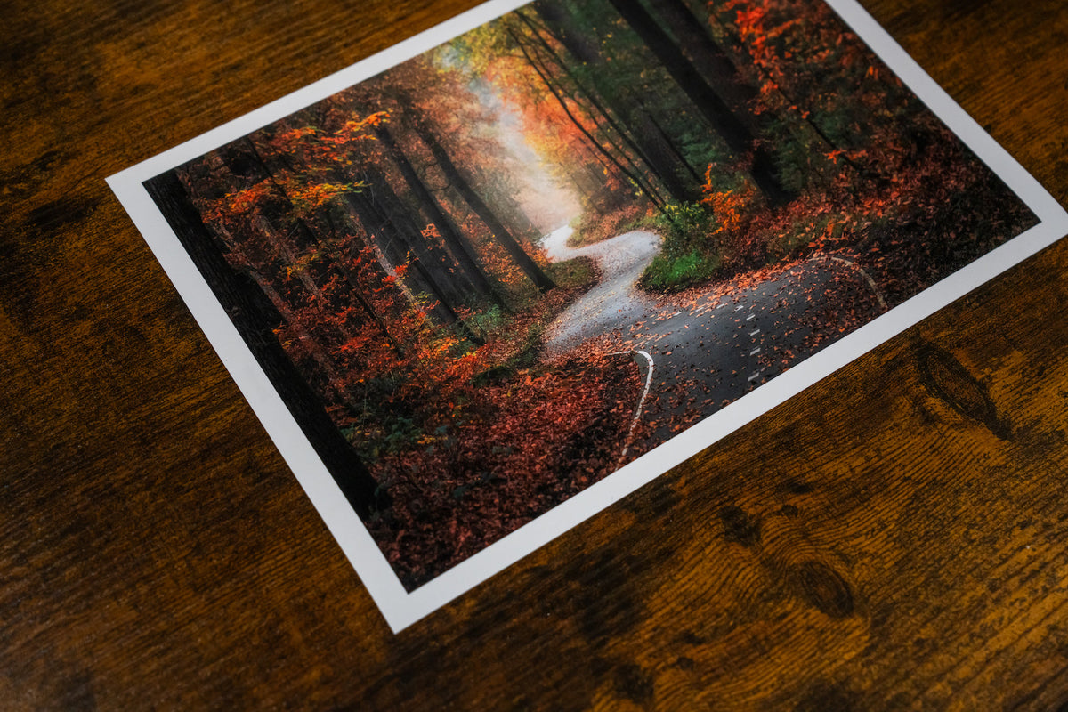 'Autumn Swirl' fine art print, 210 x 297 mm