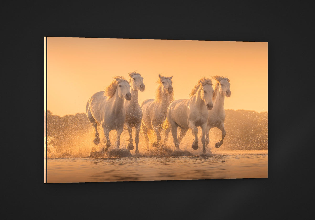 Camargue Gallop acryl
