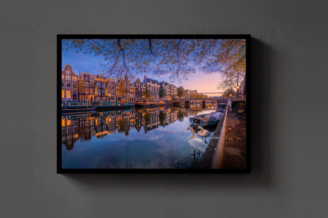 City of the Swans lijst