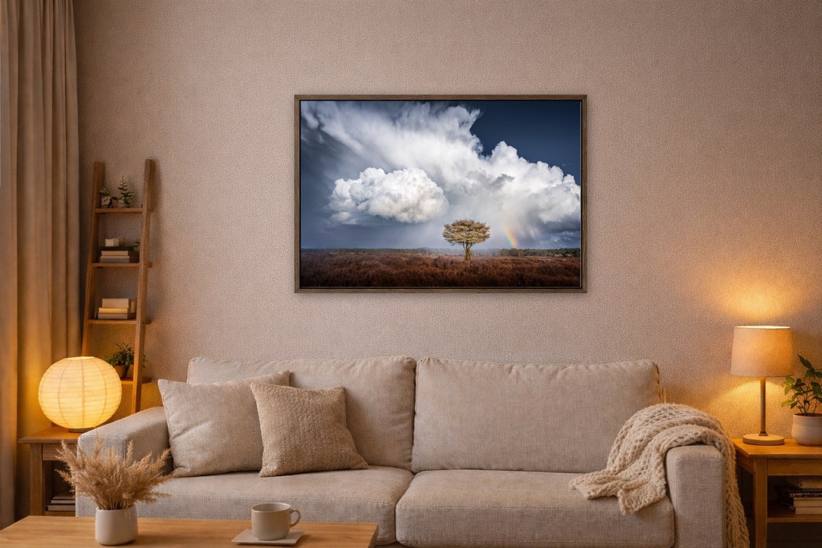 Cloud and Rainbow lijst kamer