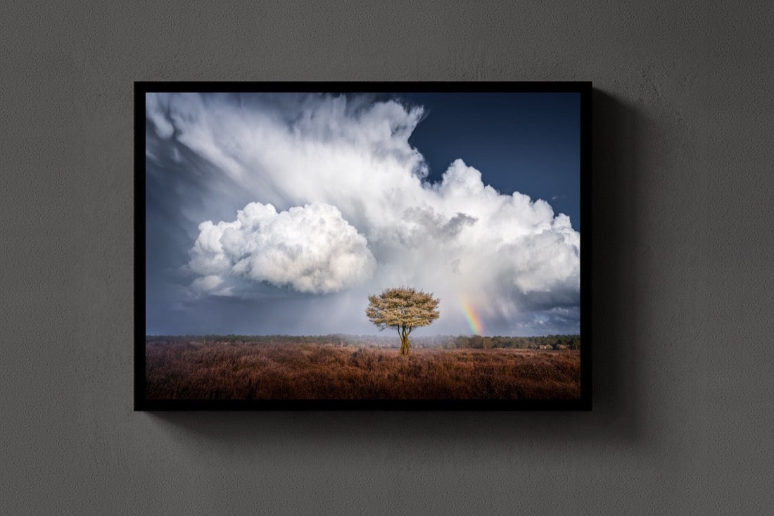 Cloud and Rainbow lijst