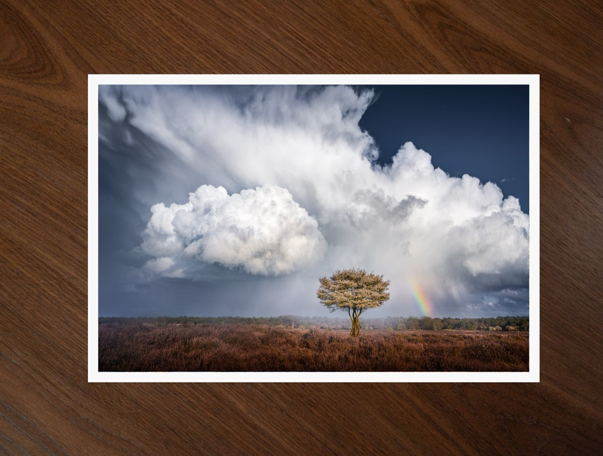 Cloud and Rainbow print