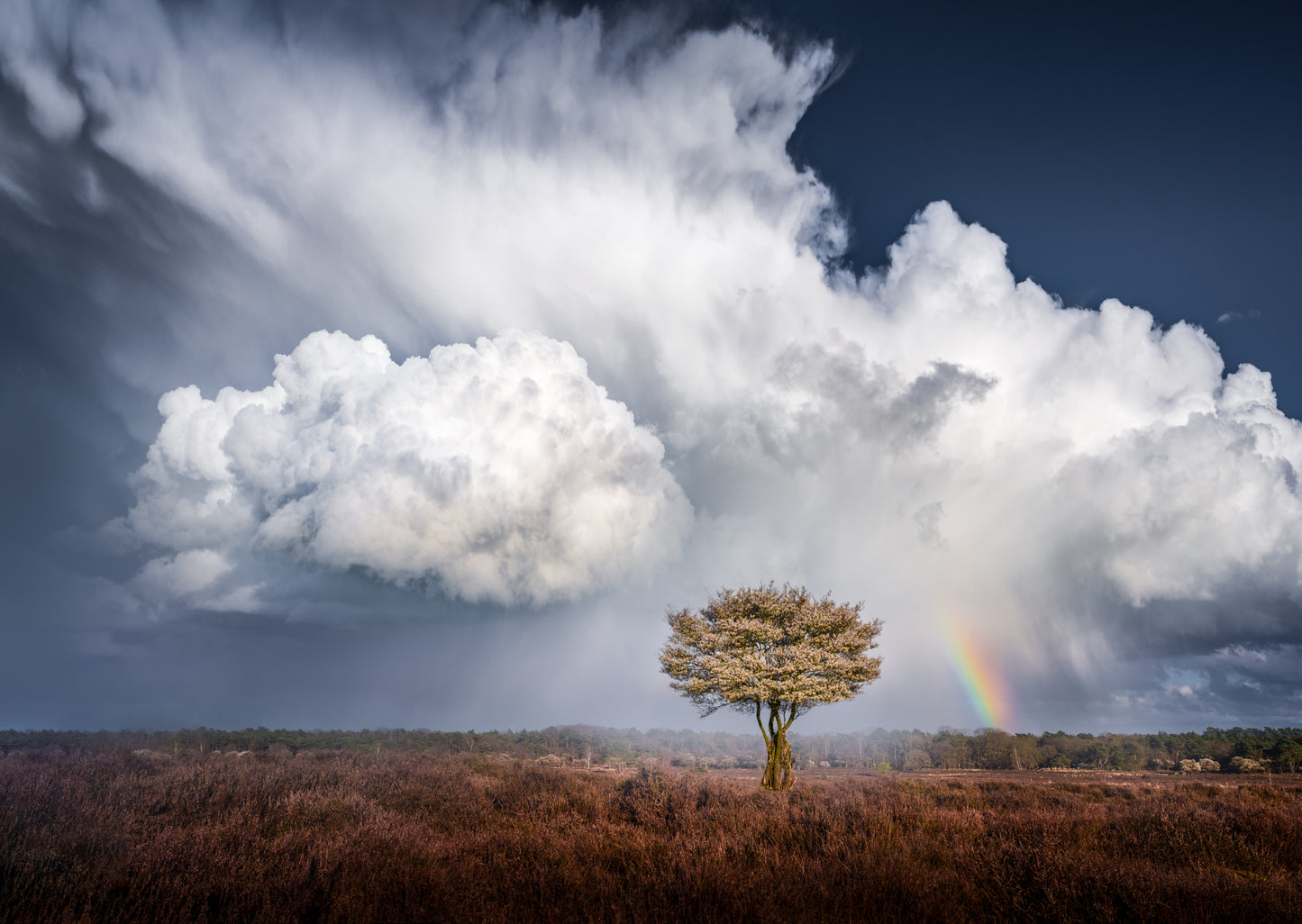 Cloud and Rainbow