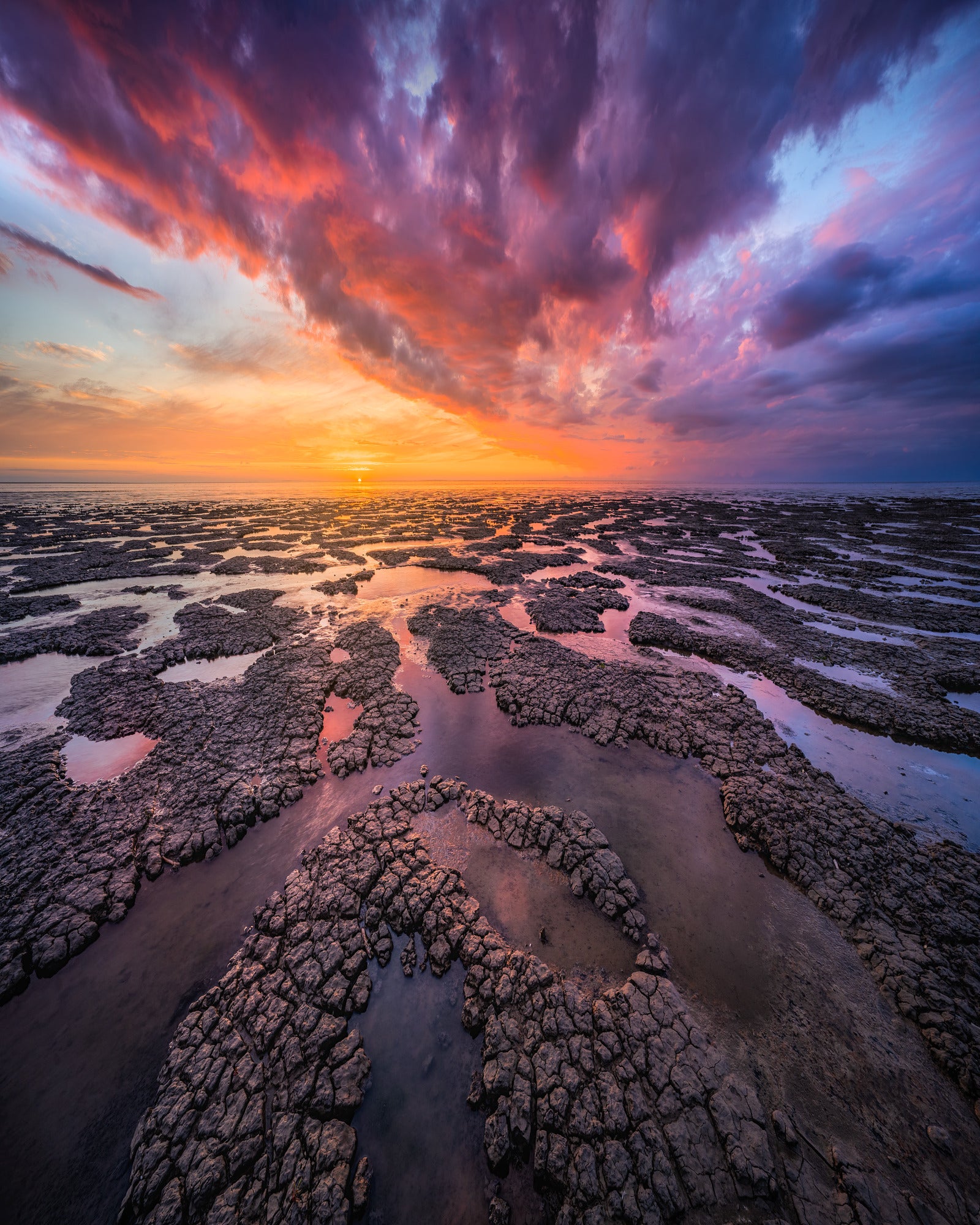 Coastal Textures