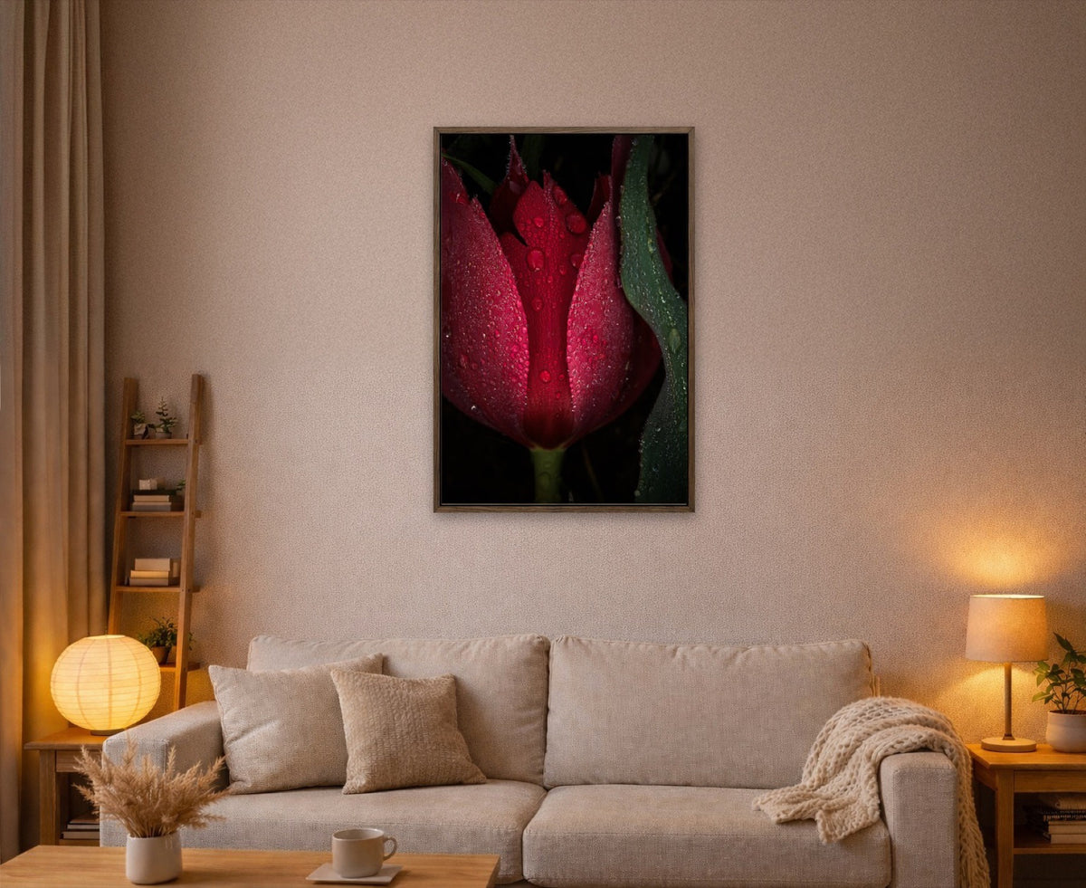 Crowned Tulip lijst kamer