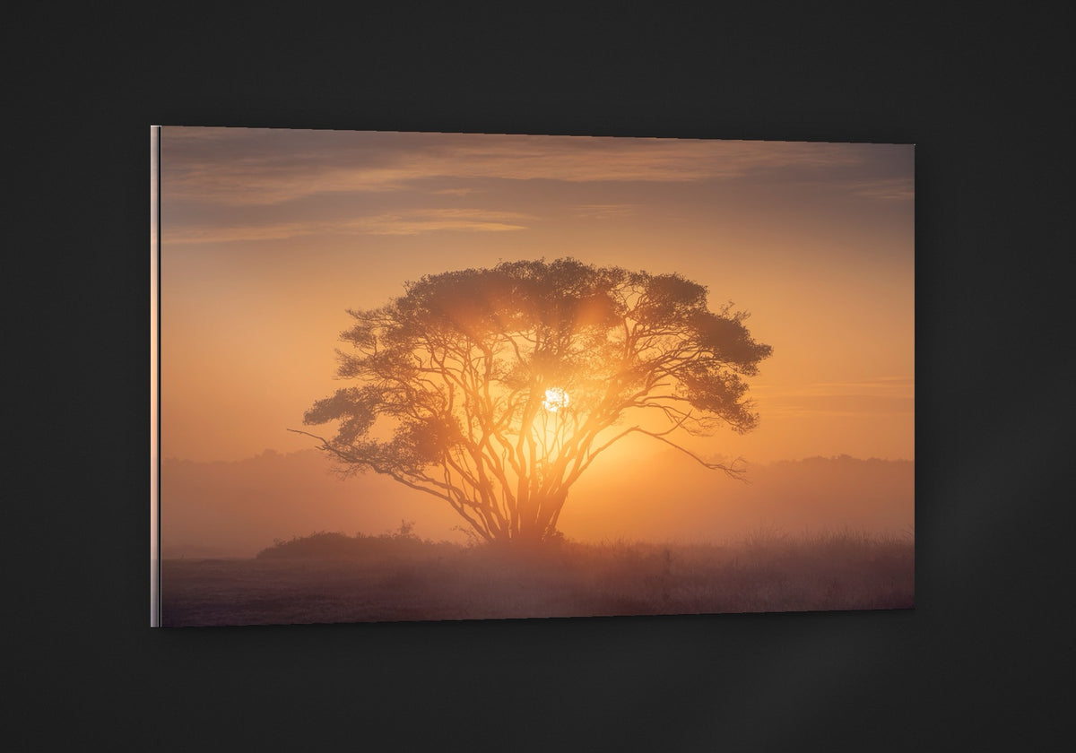 Dutch Africa acryl