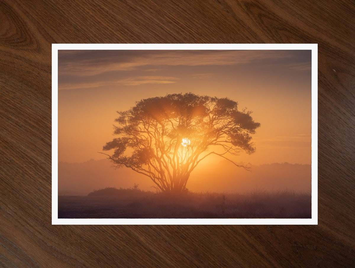 Dutch Africa print