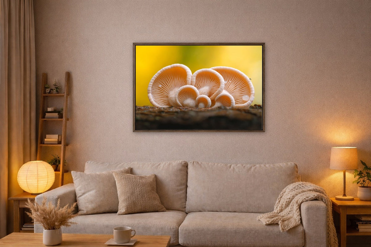 Earshrooms lijst kamer