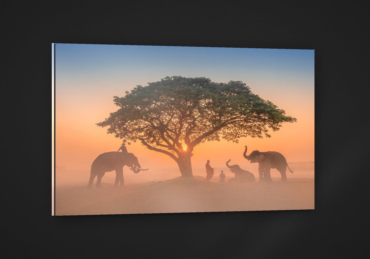 Elephants at Dawn acryl