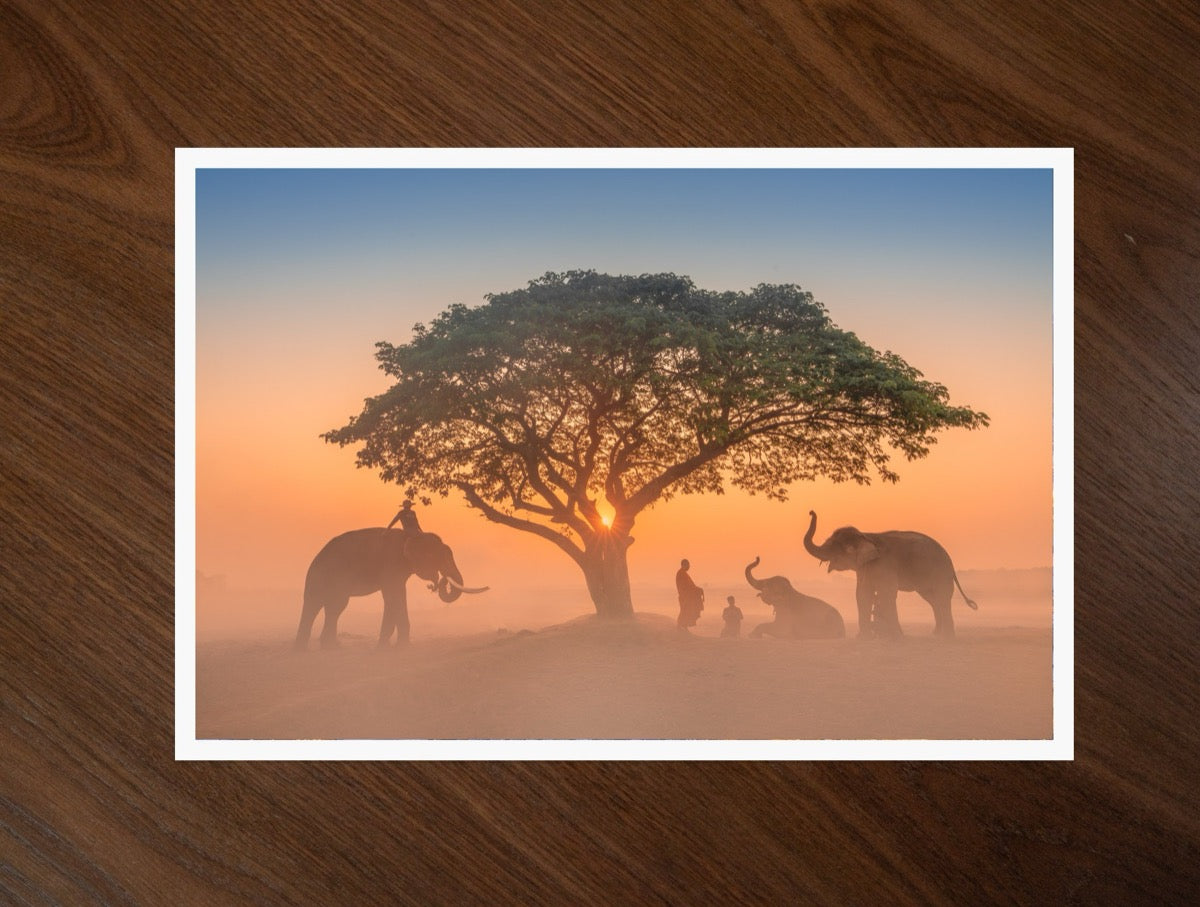 Elephants at Dawn print