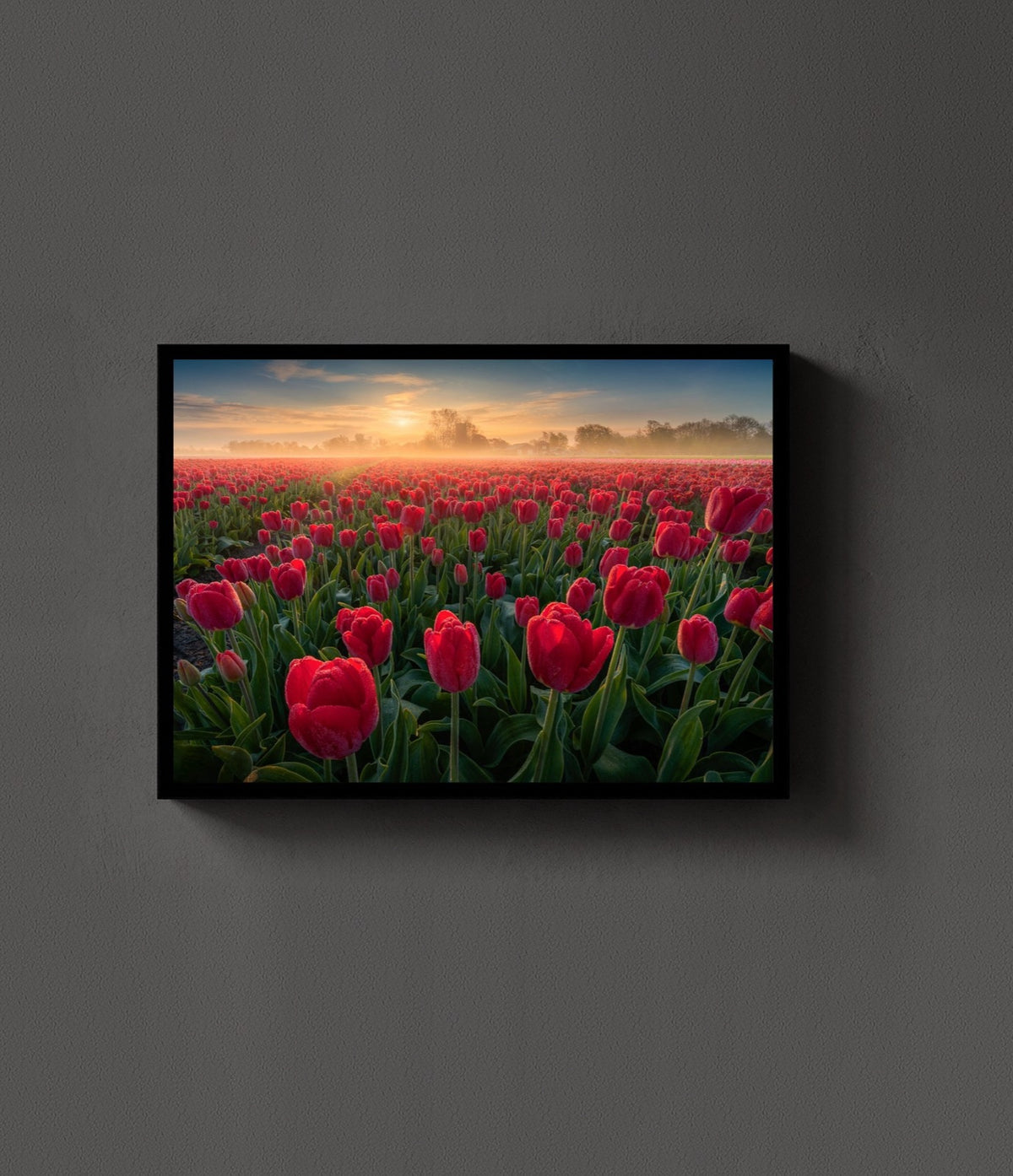 Endless Red lijst