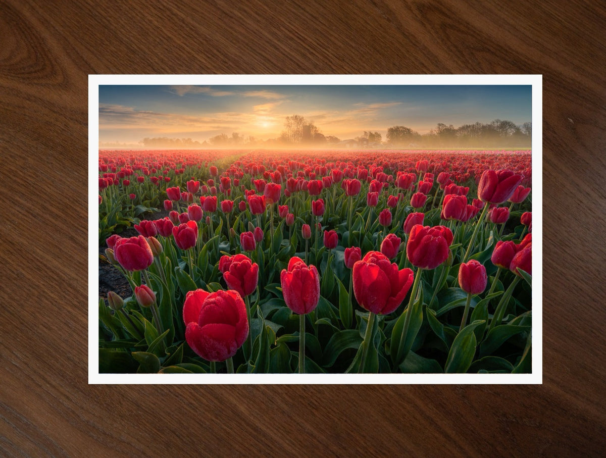 Endless Red print