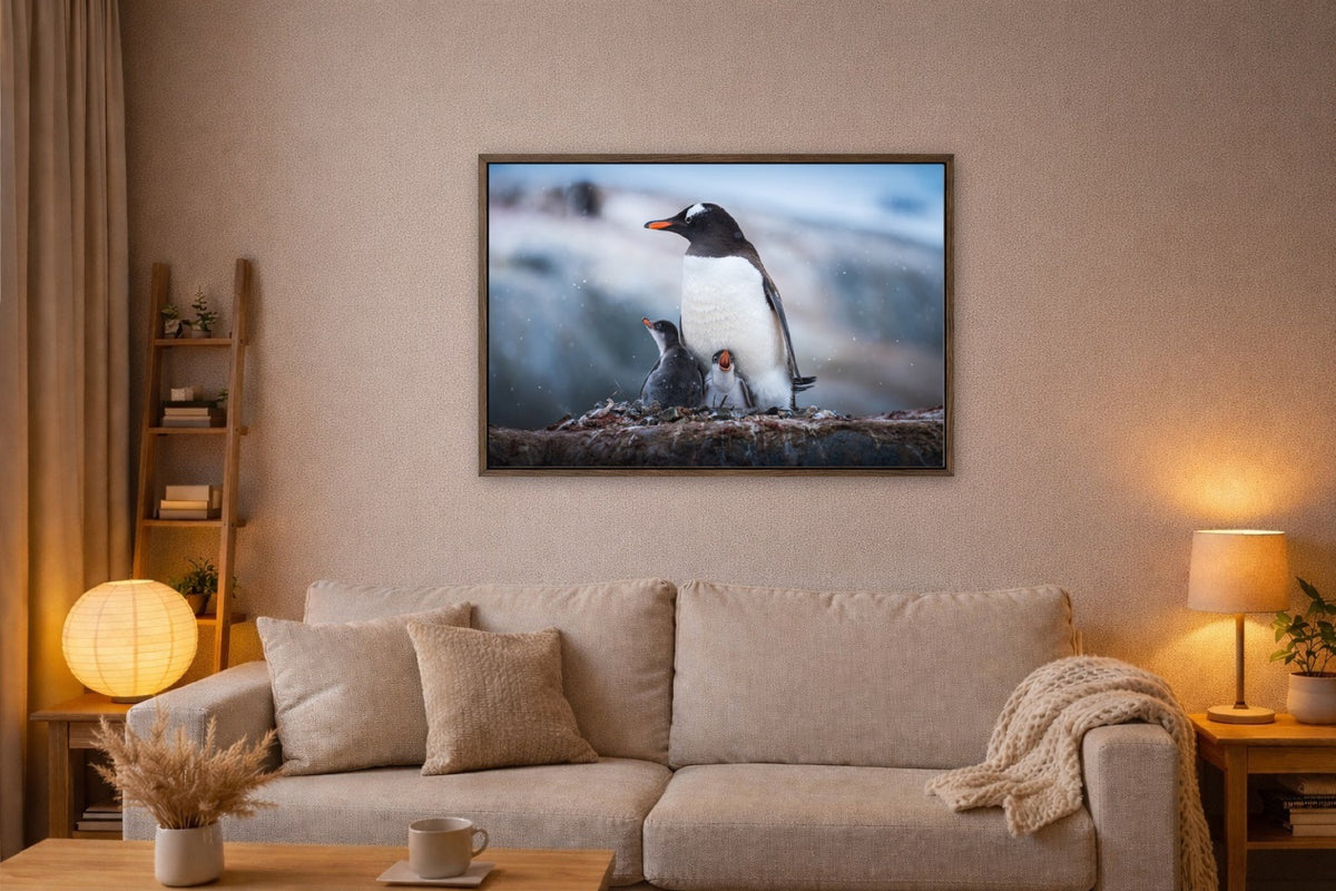 Family on the Rocks lijst kamer