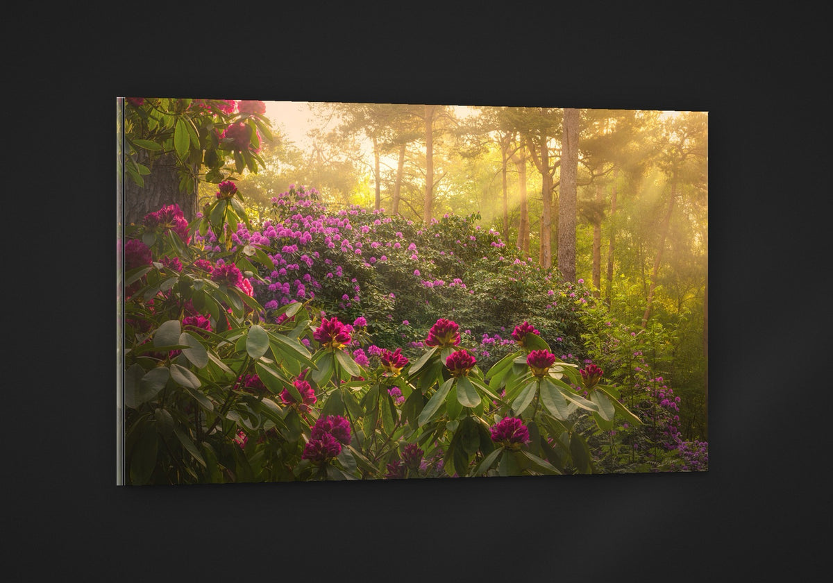 Flower Forest acryl