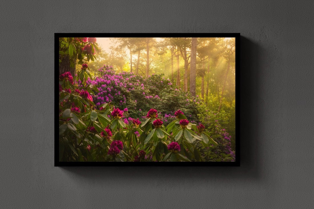 Flower Forest lijst