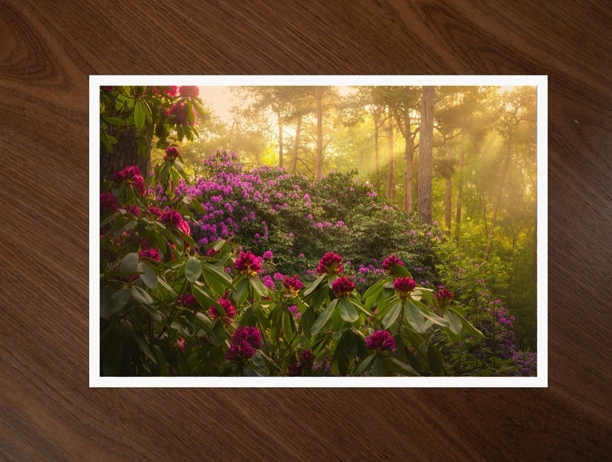 Flower Forest print
