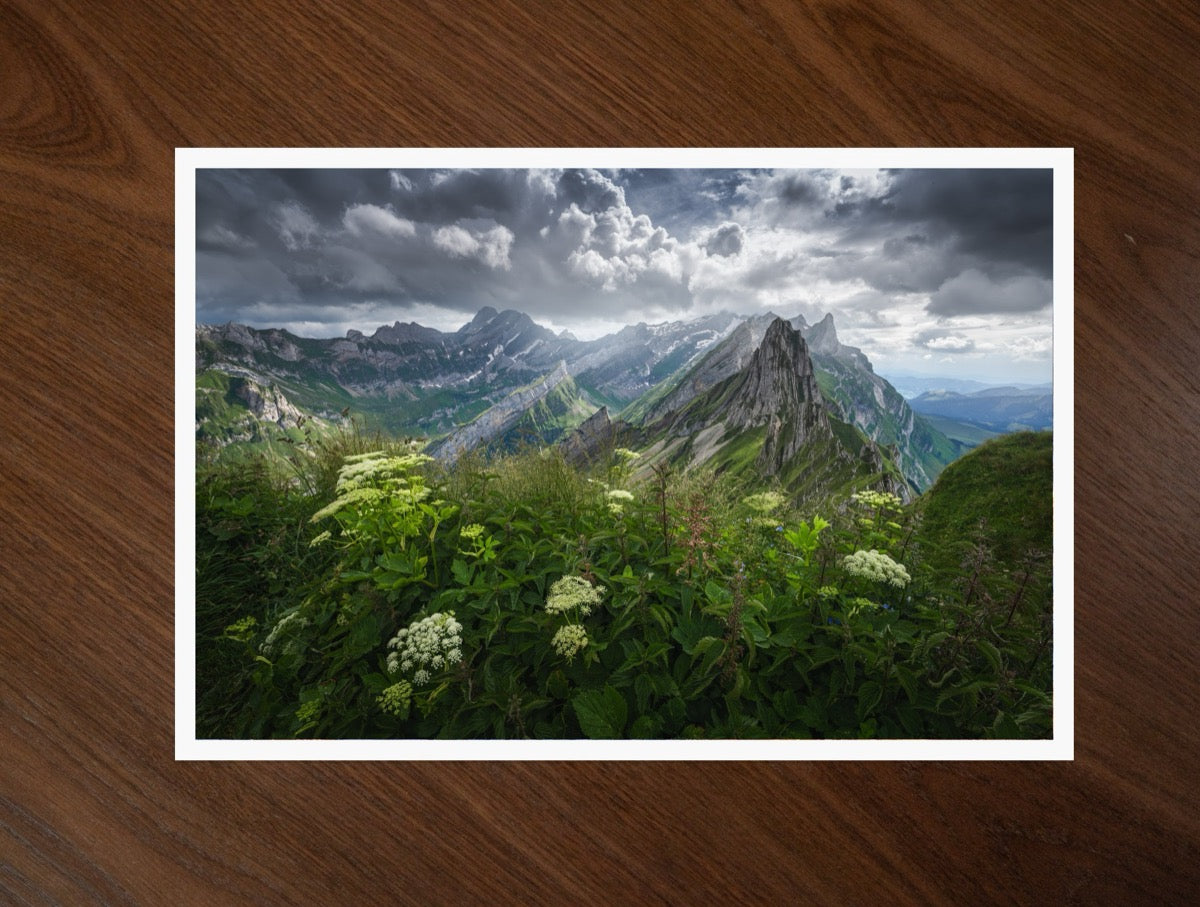 Flowers Below the Storm print