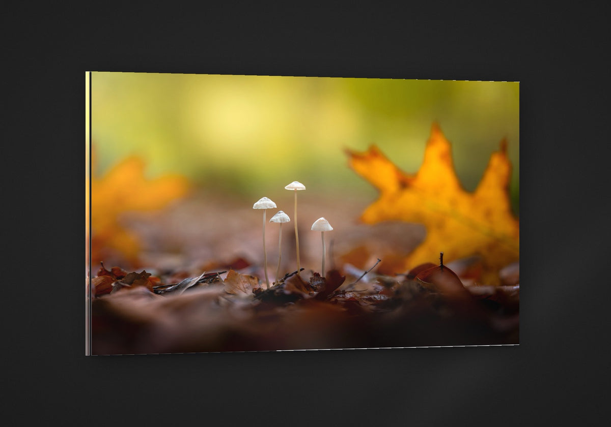 Four in the Leaves acryl