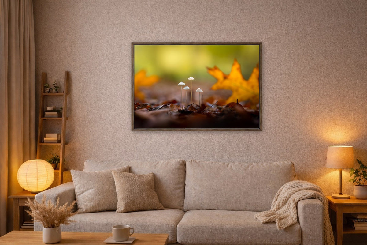 Four in the Leaves lijst kamer