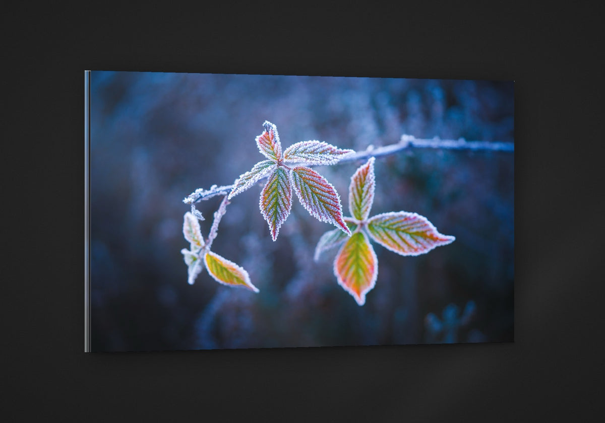 Frost on Blue acryl