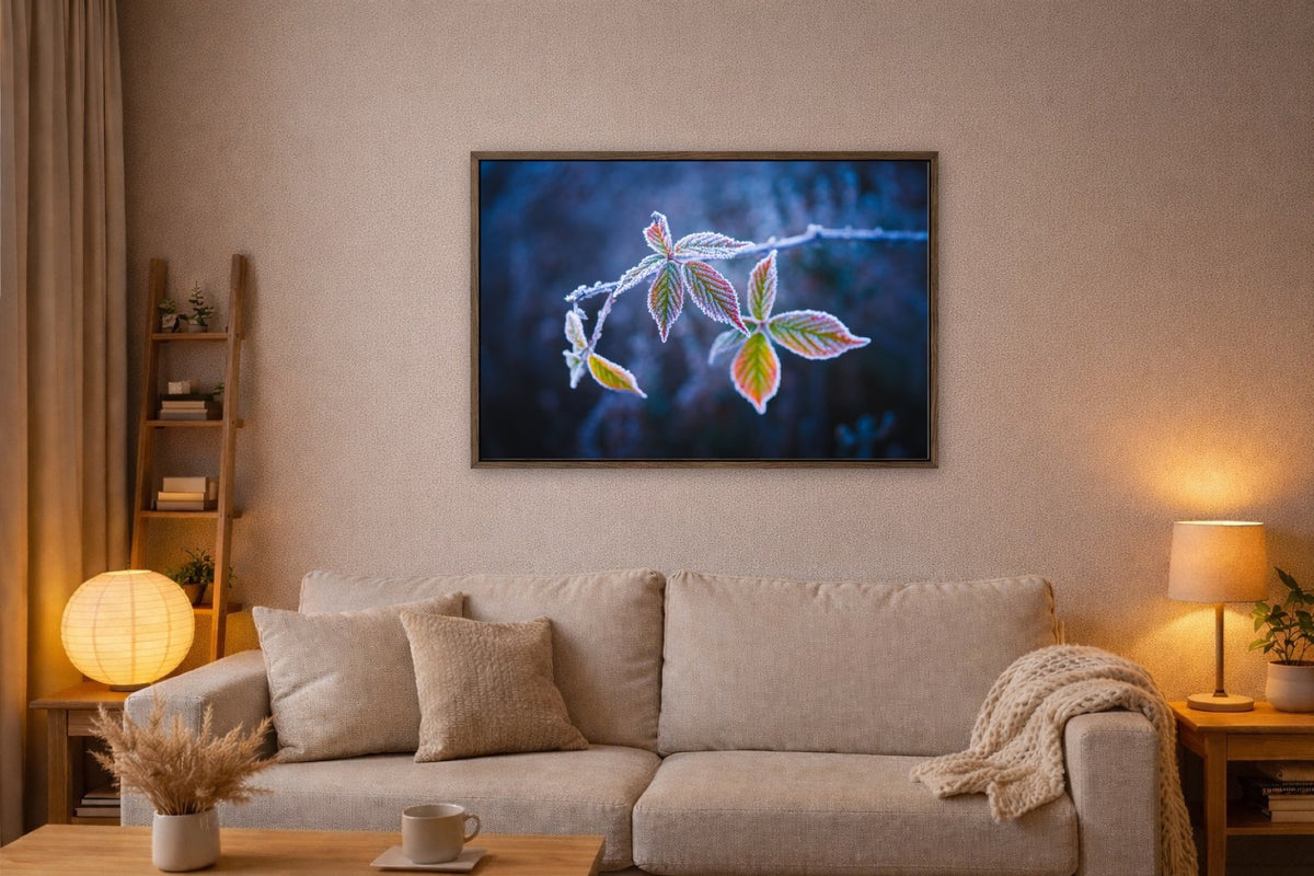 Frost on Blue lijst kamer