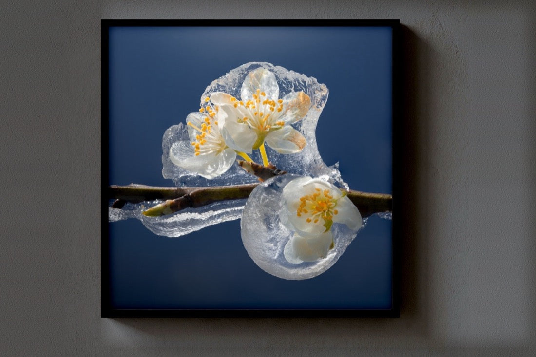 Frozen Flowers print