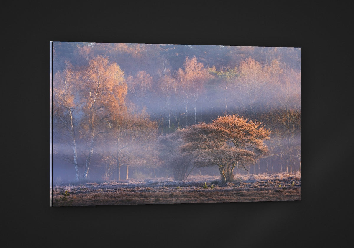 Frozen Heath acryl
