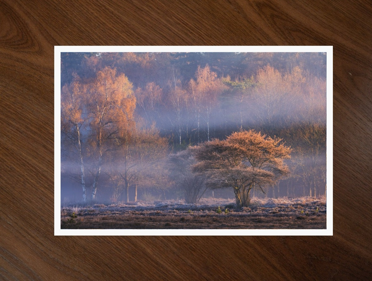 Frozen Heath print