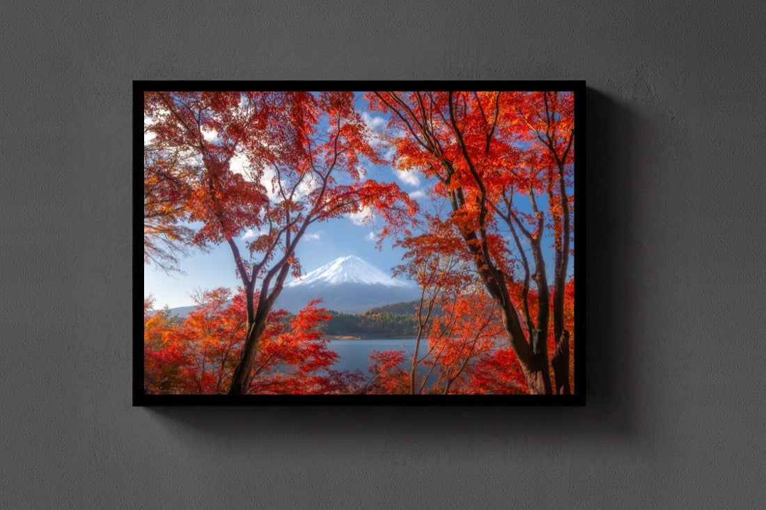 Fuji in Red lijst