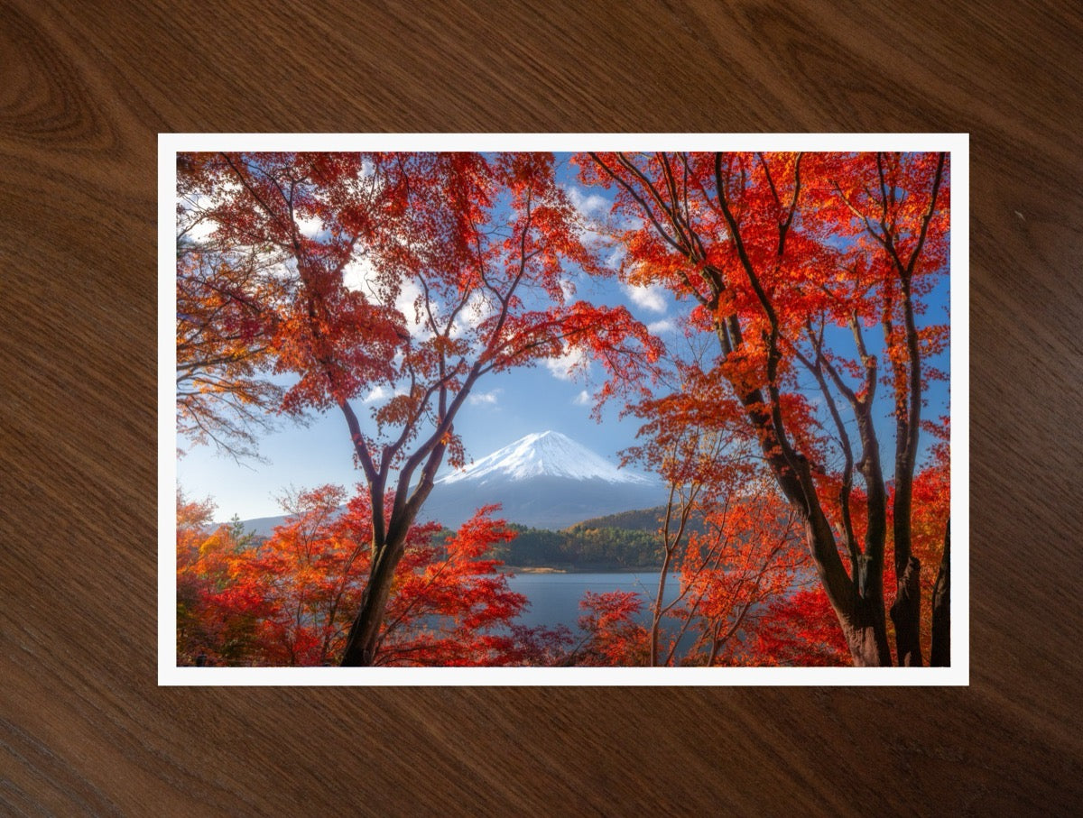 Fuji in Red print