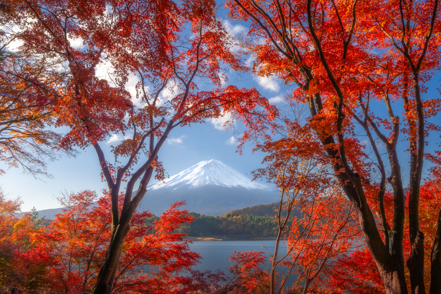 Fuji in Red