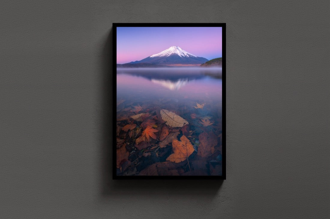 Fuji Twilight lijst