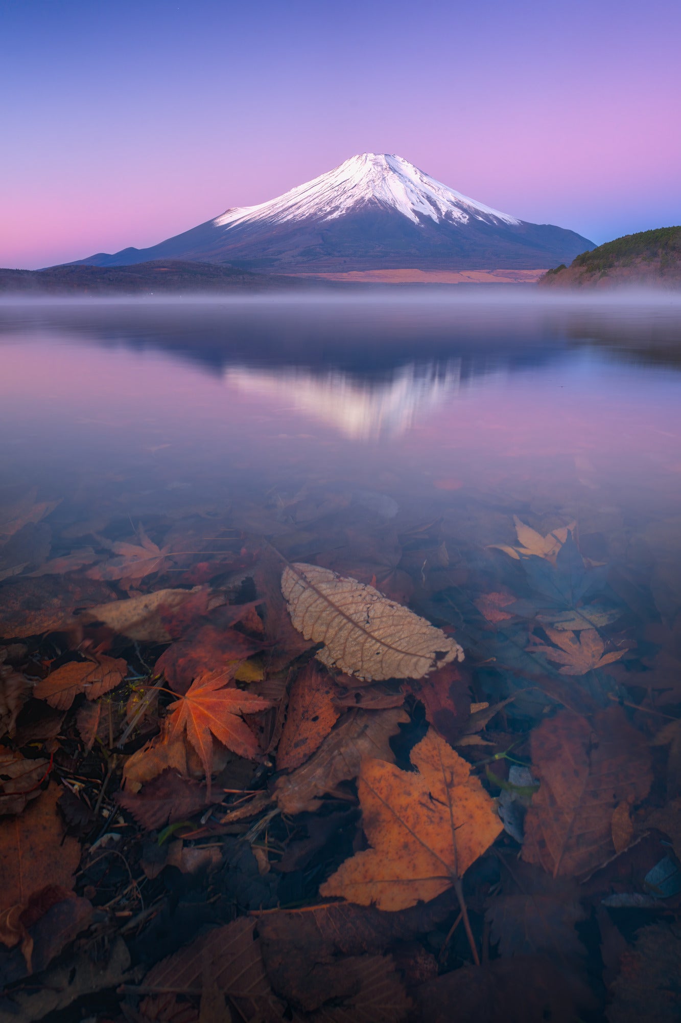 Fuji Twilight
