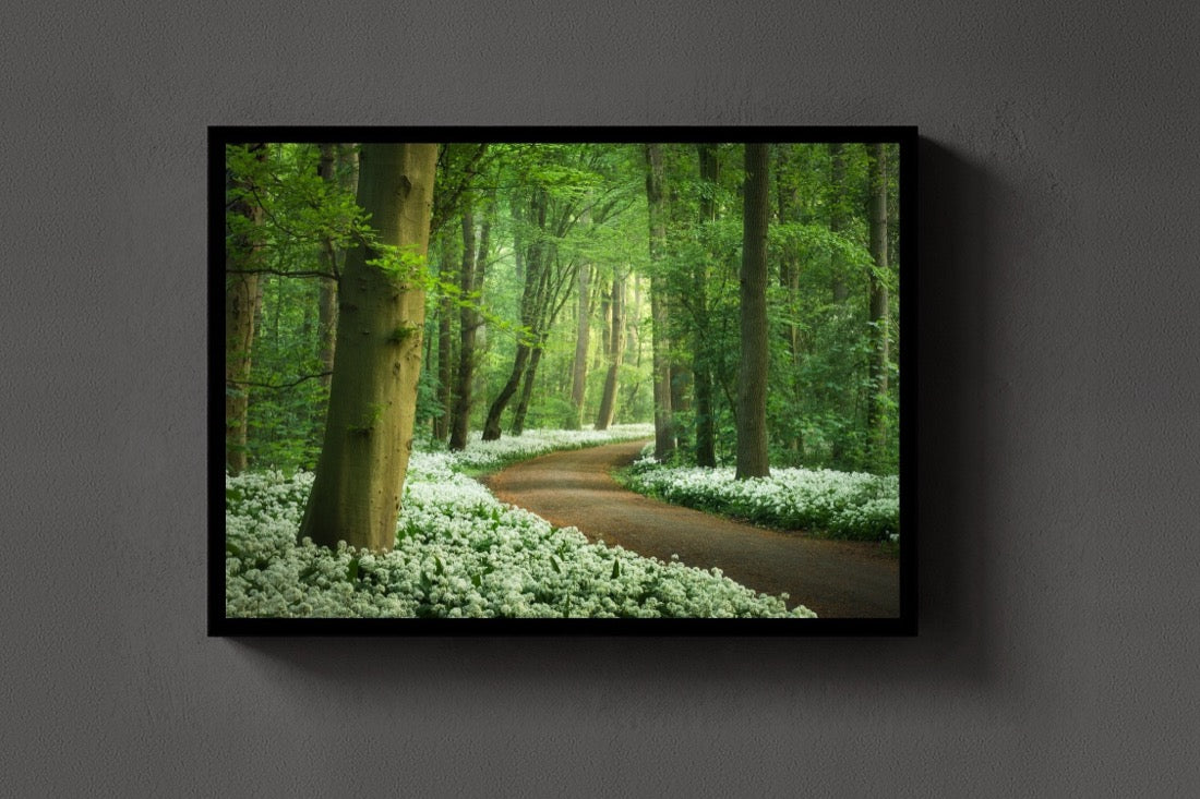 Garlic Forest lijst