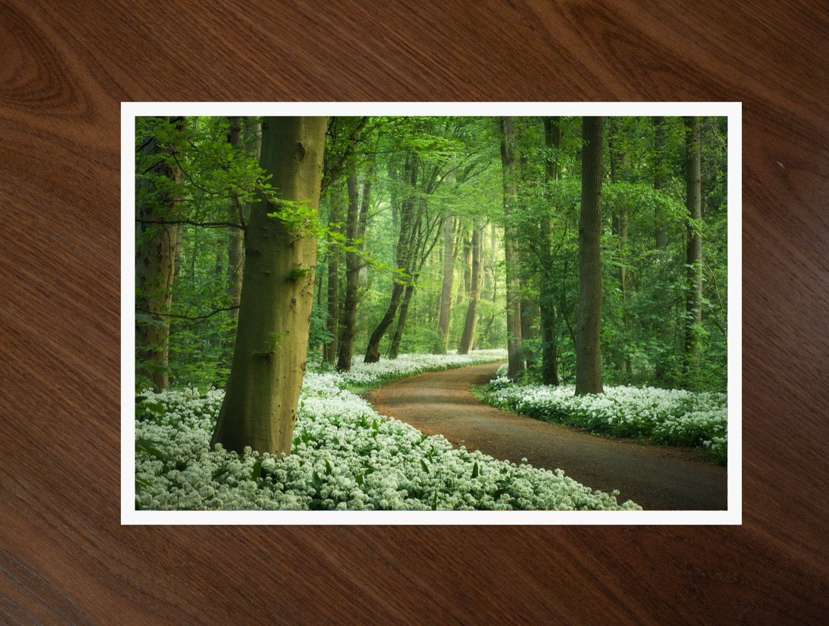 Garlic Forest print