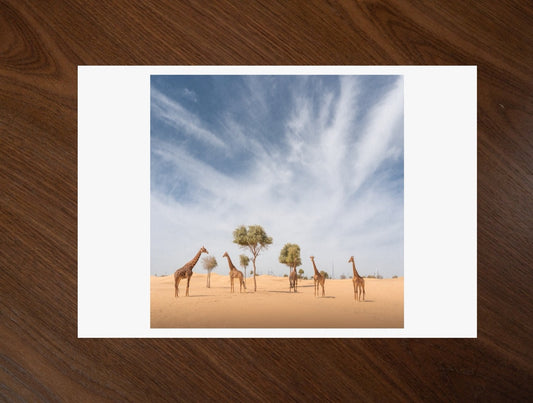 Giraffes in the Dunes print