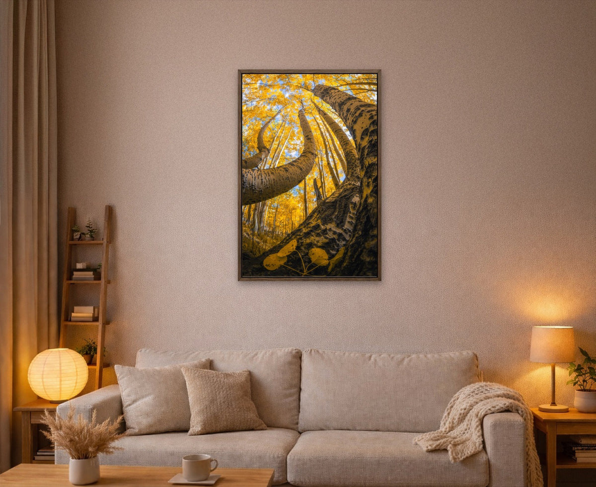 Golden Canopy lijst kamer