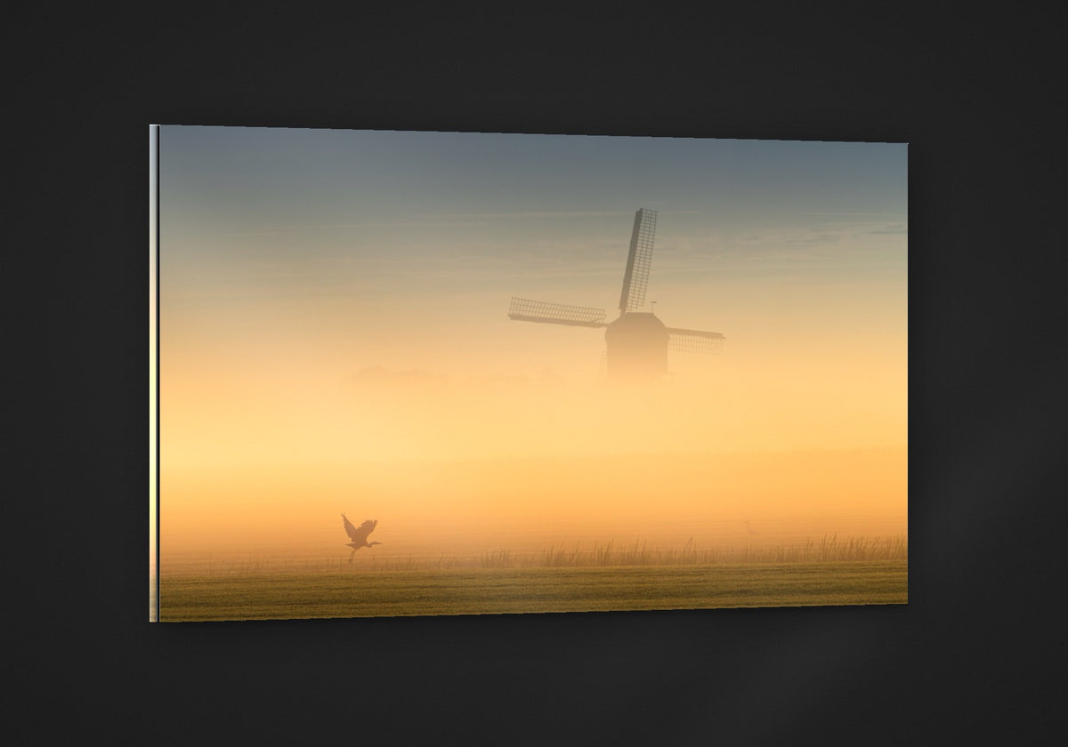 Golden Fog acryl